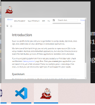 Image showing custom icon in toolbar